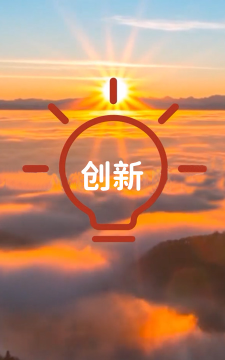 ǲʳɷ޹˾
